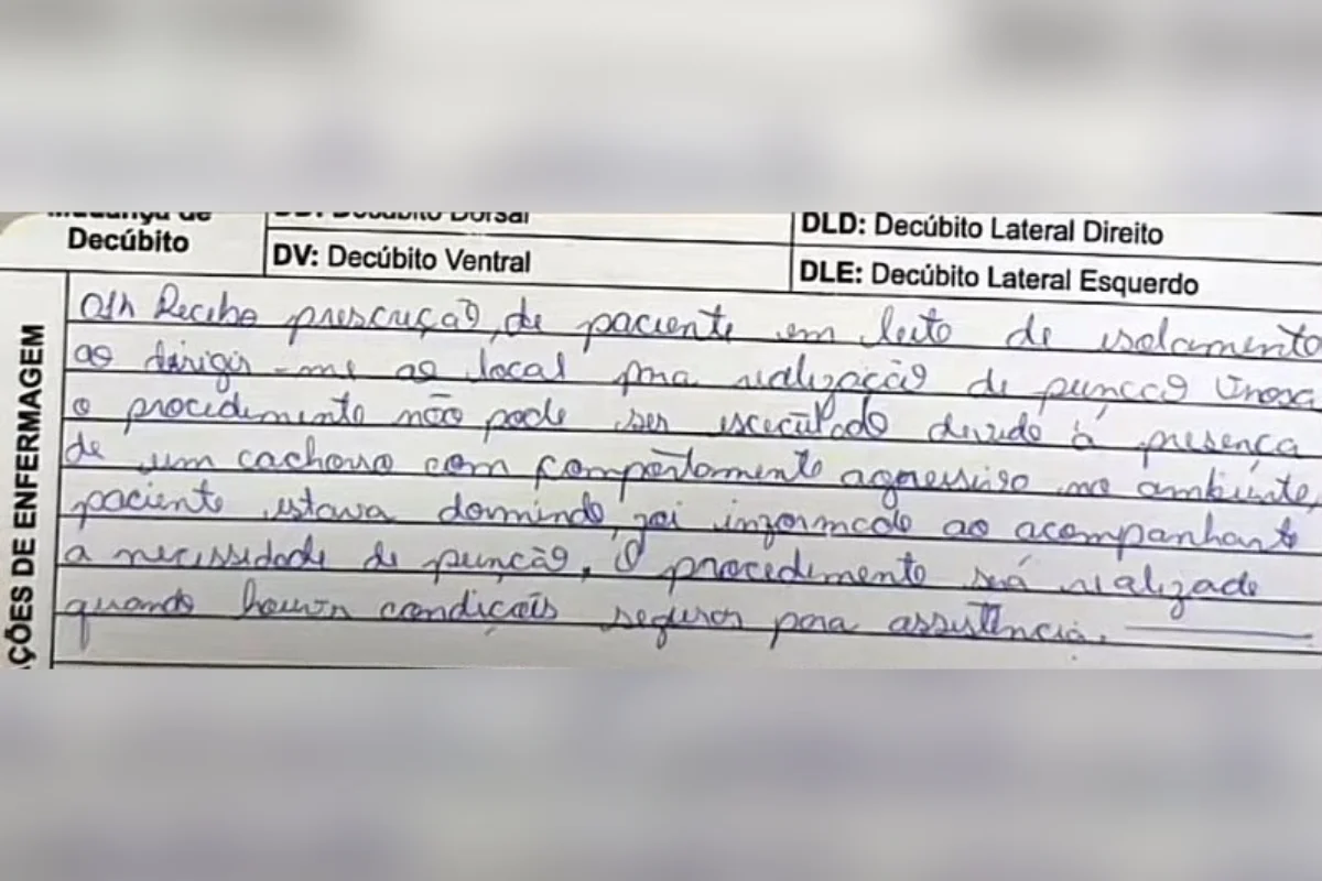 O caramelo impediu o atendimento ao tutor O caramelo impediu o atendimento ao tutor
