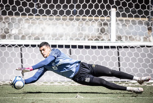 Imagem colorida de Gabriel Brazão fazendo defesa- Metrópoles