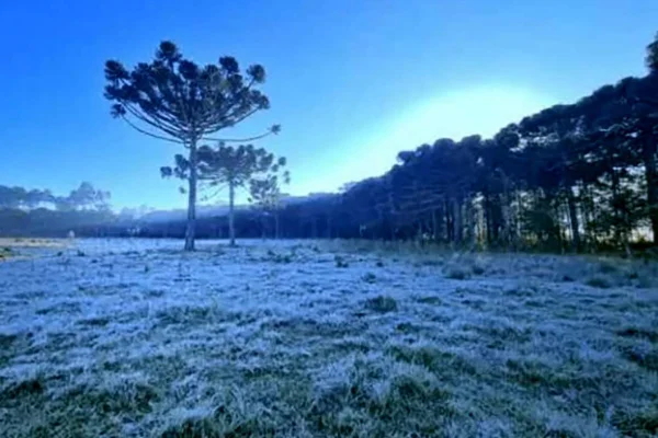 Santa Catarina Inverno Frio