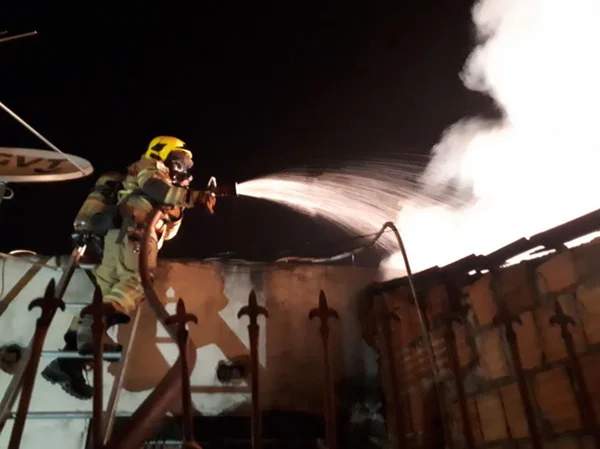 Cachorro morre intoxicado durante incêndio em casas no Guará I