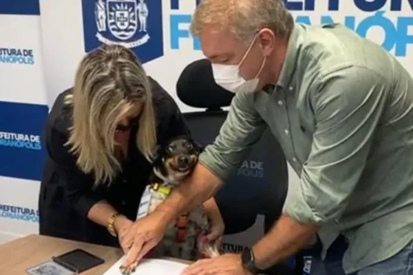 Alerta de fofura: cão “assina” projeto de lei de proteção aos animais