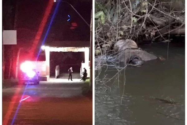 Corpo encontrado em córrego de Planaltina