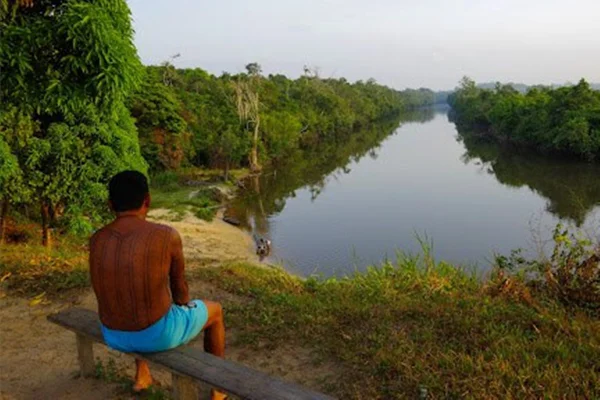 Foto colorida da Terra Indígena Alto Rio Guamá - Metrópoles