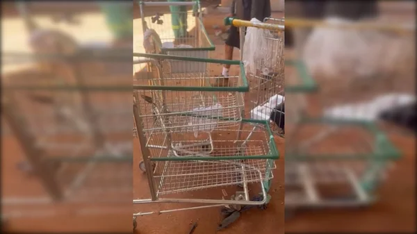 Carrinhos de compras - Metrópoles