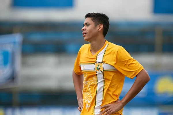 Coquinho Brasiliense