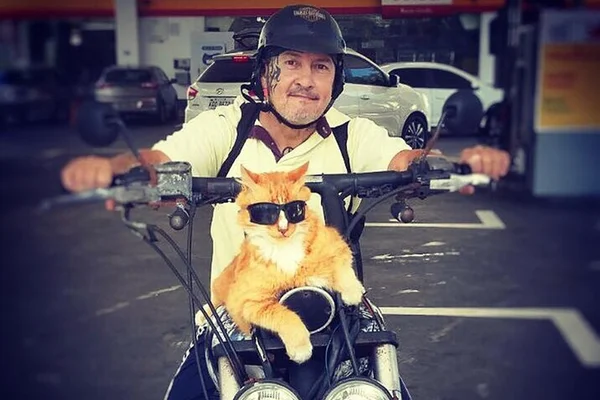 Gato Chiquinho e Alexandre Goulart