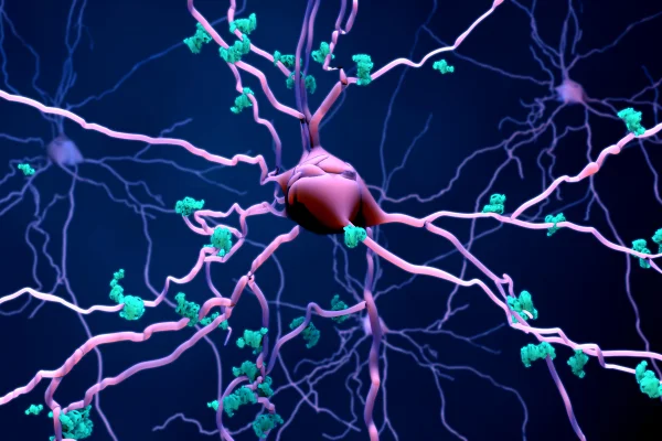 Morte de neurônios no cérebro em envelhecimento ou proteínas em neurônios - Cientistas identificam nova célula guardiã capaz de proteger o cérebro - Metrópoles