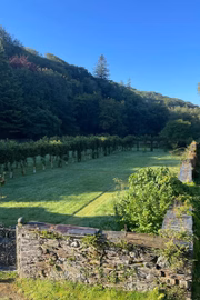 Área verde 