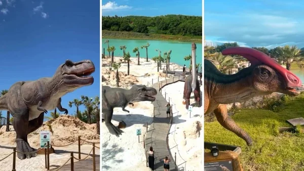 imagem colorida parque dinossauros ceara