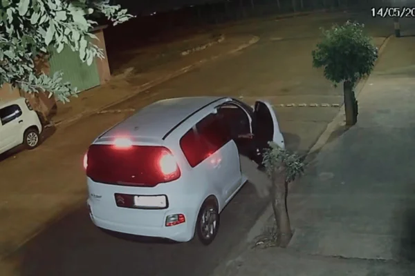Cachorro abandonado corre atrás do carro do tutor