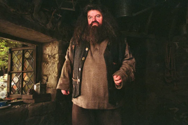 Harry Potter: HBO pode ter escolhido ator de Hagrid em nova série