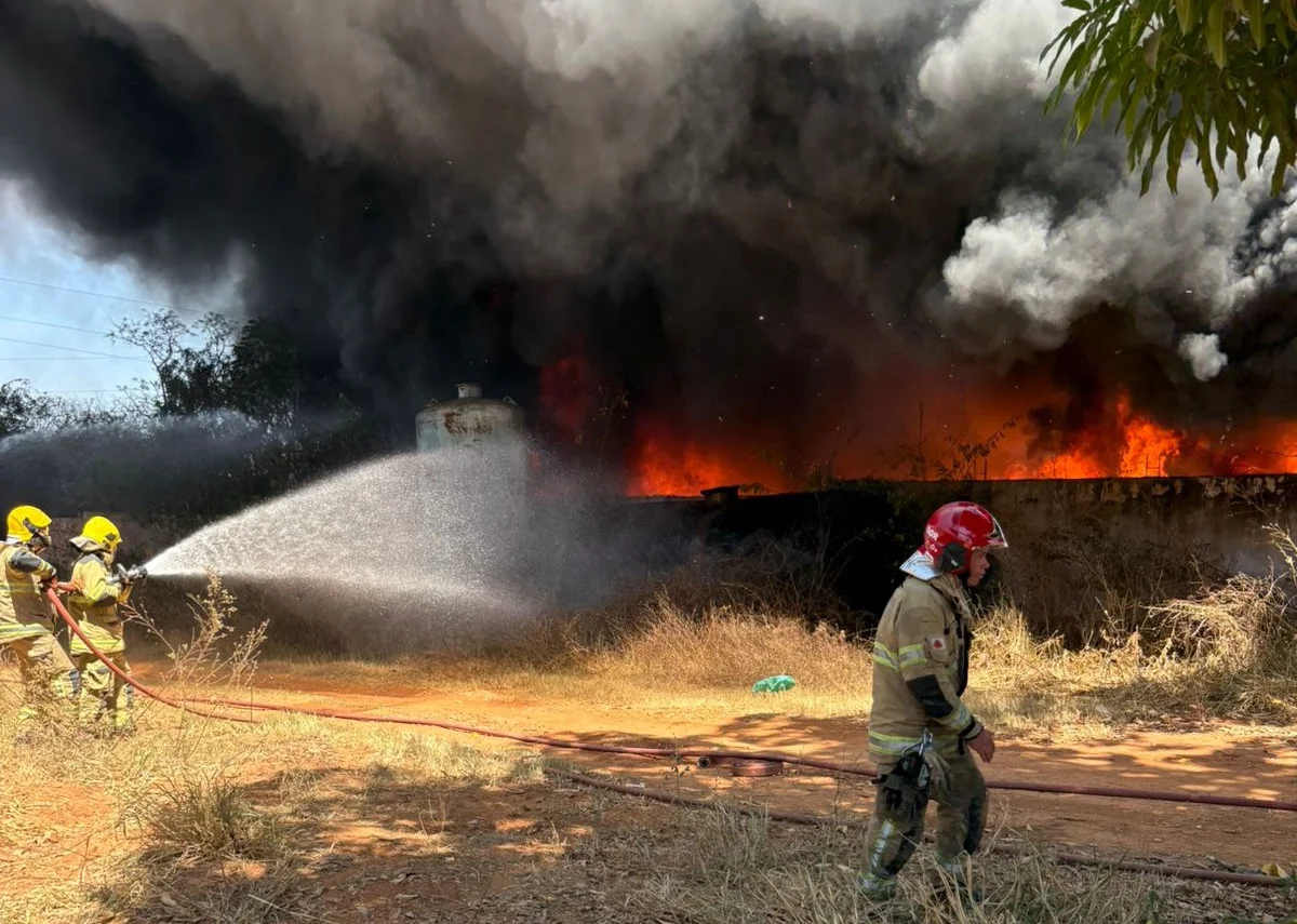 As chamas também se espalharam para uma área de vegetação localizada ao lado do imóvel As chamas também se espalharam para uma área de vegetação localizada ao lado do imóvel