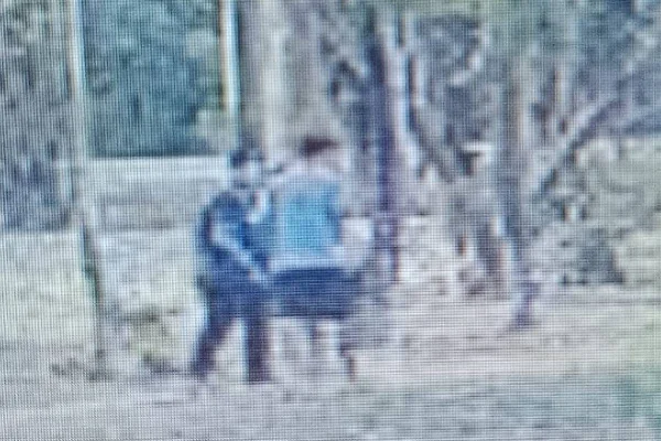 Suspeitos de assaltar visitantes do Parque Villa-Lobos, SP, são identificados por câmeras de segurança- Metrópoles