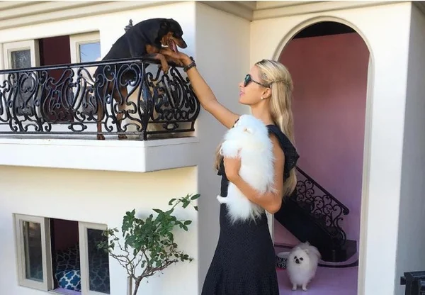Paris Hilton constrói mansão para seus cachorros e revolta internautas