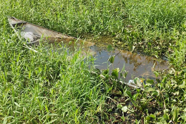Polícia Ambiental apreende barco e armadilhas de pesca no Rio do Peixe, em Caiuá (SP) - Metrópoles