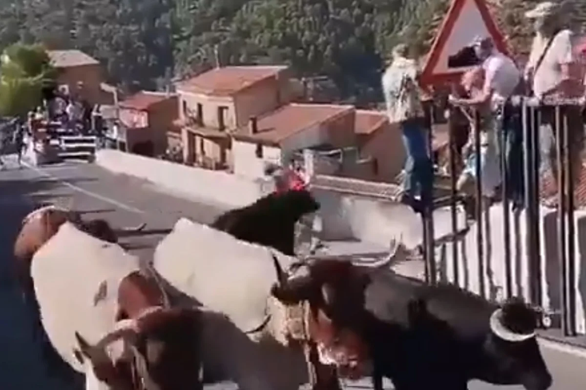 Mulher de 64 anos morre após ser atacada por touro na Espanha