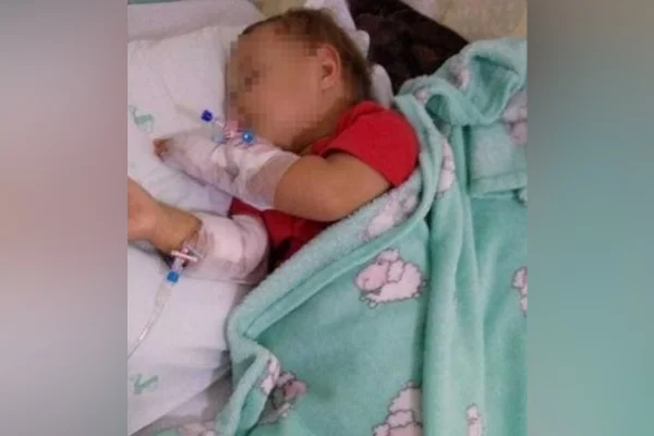 Cobra levada a hospital ajuda a salvar criança em SC