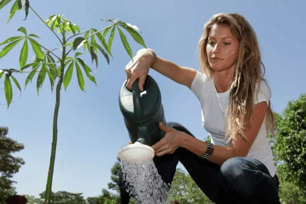 foto com cor. supermodelo Gisele Bündchen - metrópoles