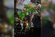 Homem morreu soterrado após desabamento em São Paulo Homem morreu soterrado após desabamento em São Paulo