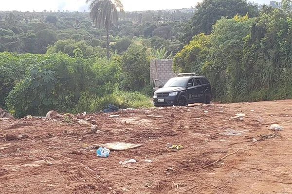 Viatura em matagal