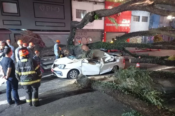 Duas passageiras também estavam no carro que foi atingido pela árvore durante o temporal e sobreviveram. O taxista morreu no local - Metrópoles