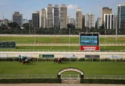 Pista de turfe do Jockey Club de São Paulo