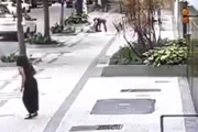 Mulher de 82 anos é baleada durante assalto no Rio de Janeiro Mulher de 82 anos é baleada durante assalto no Rio de Janeiro