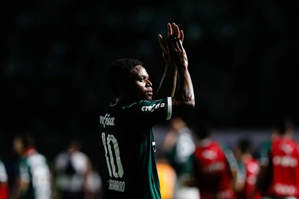 Palmeiras supera Vasco no Rio e mantém perseguição ao Flamengo