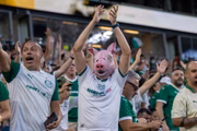 Os torcedores do Palmeiras conquistaram a melhor média de público entre os times brasileiros na competição Os torcedores do Palmeiras conquistaram a melhor média de público entre os times brasileiros na competição