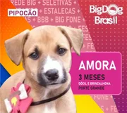 Esse é o segundo paredão do BDB promovido pela prefeitura de Pinhais Esse é o segundo paredão do BDB promovido pela prefeitura de Pinhais