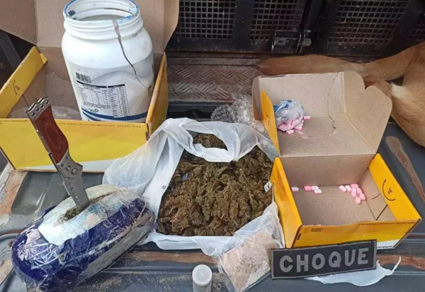 Ecstasy e maconha são encontrados por cão farejador em pacotes nos Correios