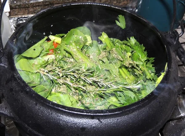 Alerta às mamães: plantas medicinais podem ser nocivas à amamentação