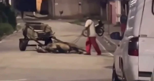 imagem colorida. Homem dá chicotadas em cavalo