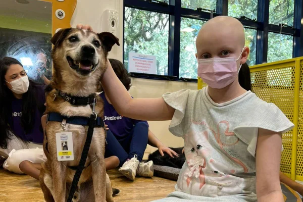 Três vira-latas “terapeutas” visitaram crianças em tratamento oncológico no Hospital do GRAACC, na zona sul da capital, nesta segunda (23) - Metrópoles