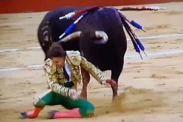 Toureiro perde olho de vidro após levar chifrada em arena