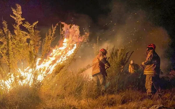 imagem colorida incendio florestal rj