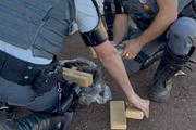 Policiais militares apreendem carga de quase uma tonelada de maconha em caminhão no interior de SP