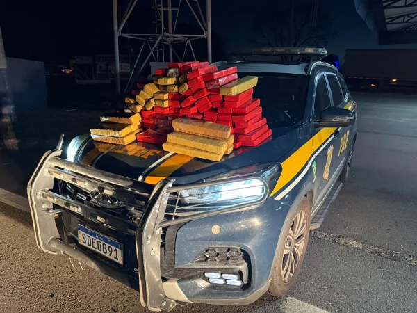 Homem é preso com 80 kg de maconha escondidos em caminhão em GO