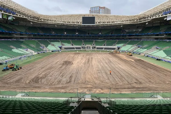 Palmeiras inicia troca da grama do Allianz Parque para sintética