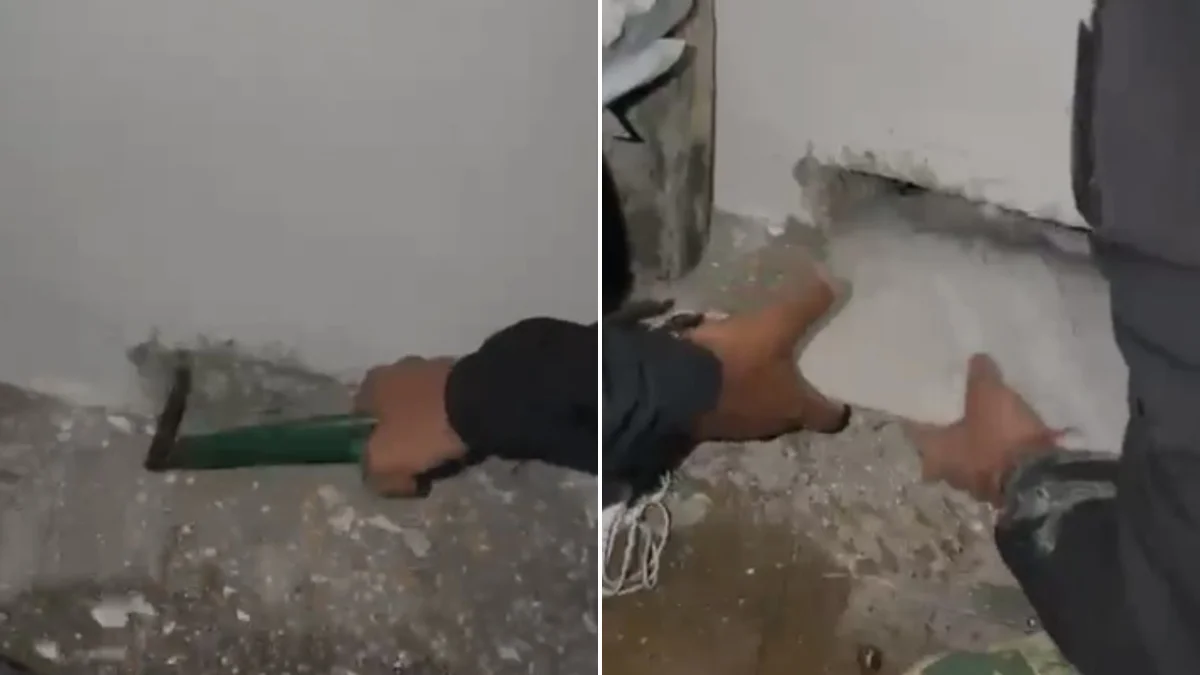 Imagem da notícia publicada por Metrópoles