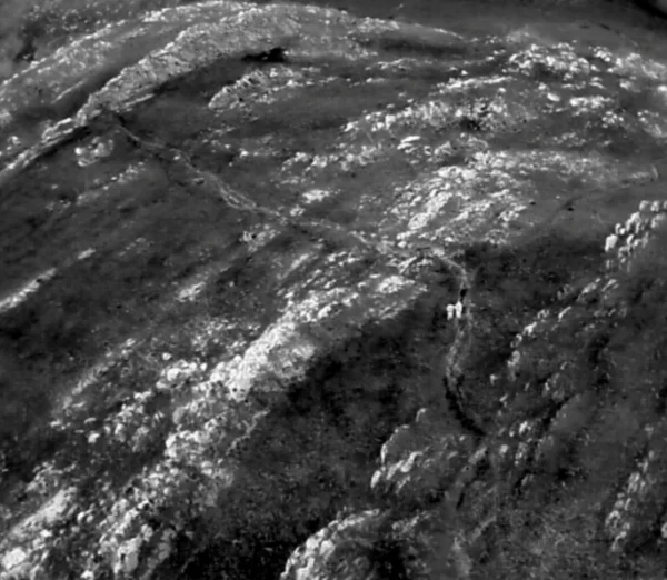Imagem de drone com sensor térmico usado para localizar casal perdido em Brumadinho