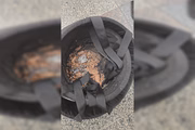 Esquadrão antibombas foi mobilizado para destruir mochila suspeita