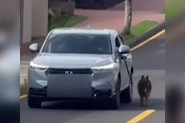 Polícia indicia homem flagrado arrastando cão com carro em movimento