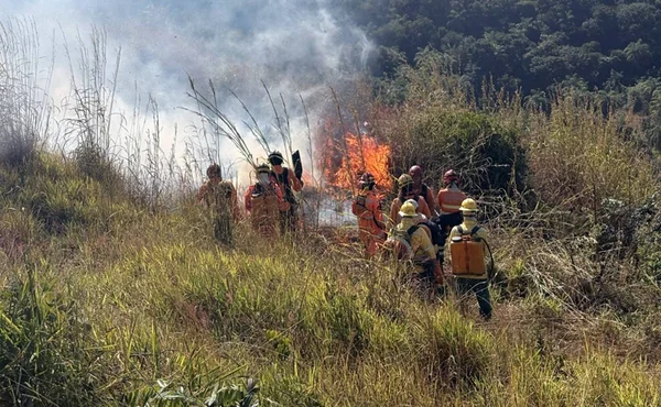 fogo incêndio MG minas gerais