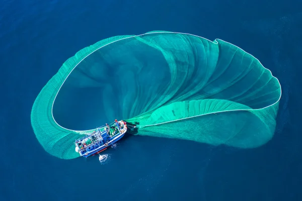 Imagem aérea mostra barco de pesca comercial jogando uma rede - Metrópoles