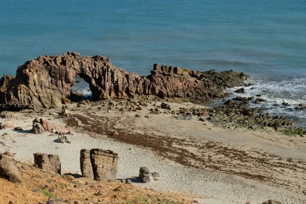 Jeroicoaquara proteção marinha mar do Brasil contaminado de microplásticos