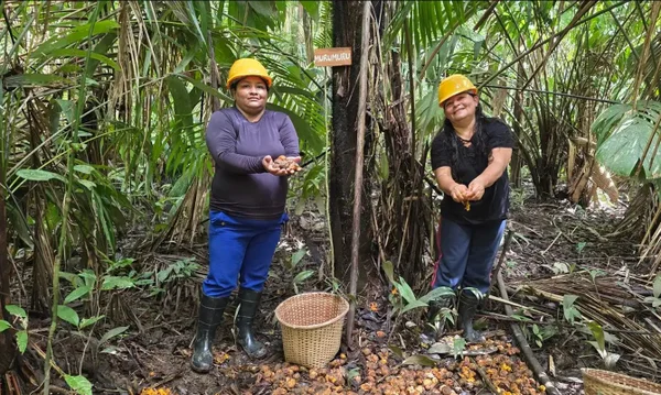 Mulheres extrativistas enfrentam preconceito e geram renda na Amazônia