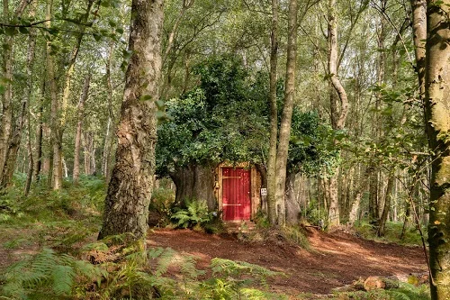 Casa do ursinho Pooh está disponível para aluguel via Airbnb; veja fotos