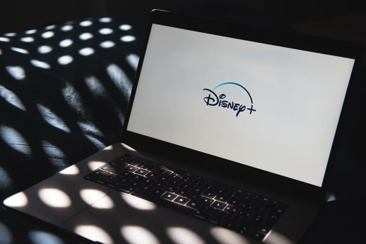 D23