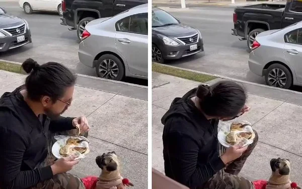 Cachorro e tutor juntos na calçada comendo